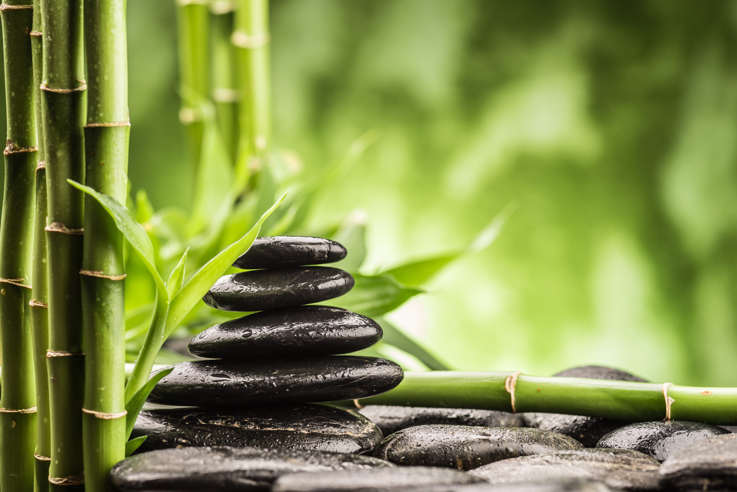 still life with zen basalt stones and bamboo